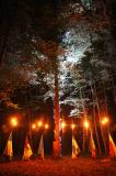 Macbeth en foret 11 * 5184 x 3456 * (10.38MB)